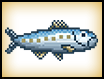 沙丁魚CC